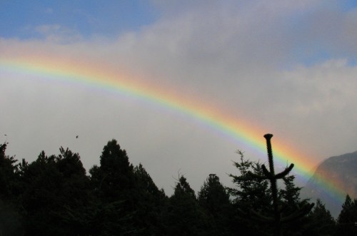 Rainbow Feb 9_1